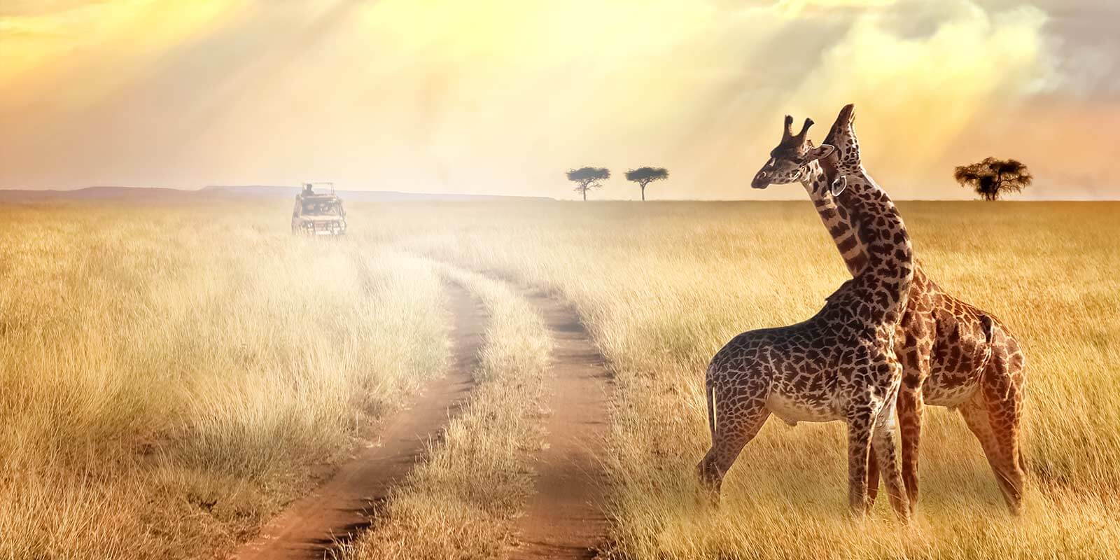 Africa homepage slider image