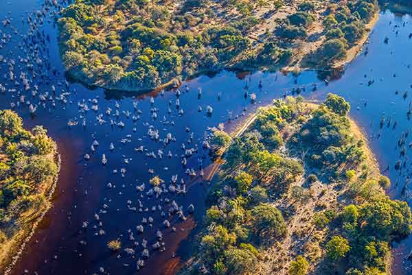 botswana-okavango-delta