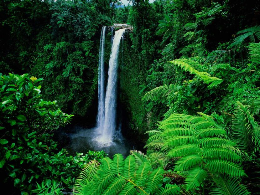 samoa information background - 5 Romantic Resorts in Samoa