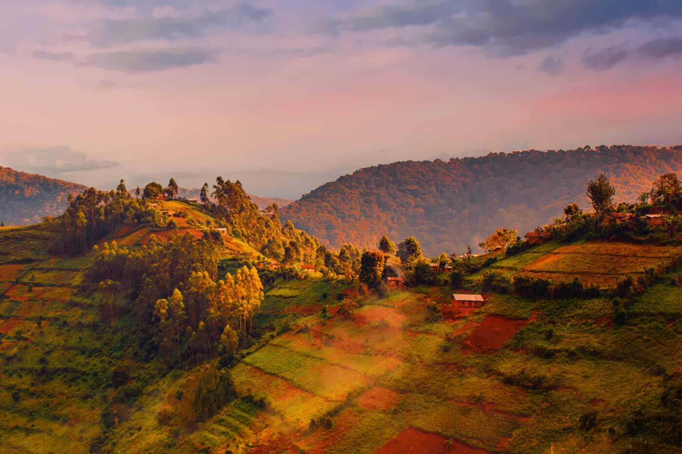 Bwindi Impenetrable Forest