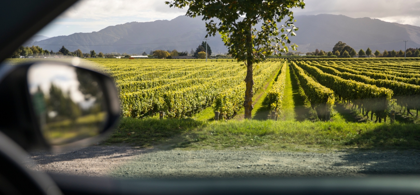 Blenheim Marlborough New Zealand