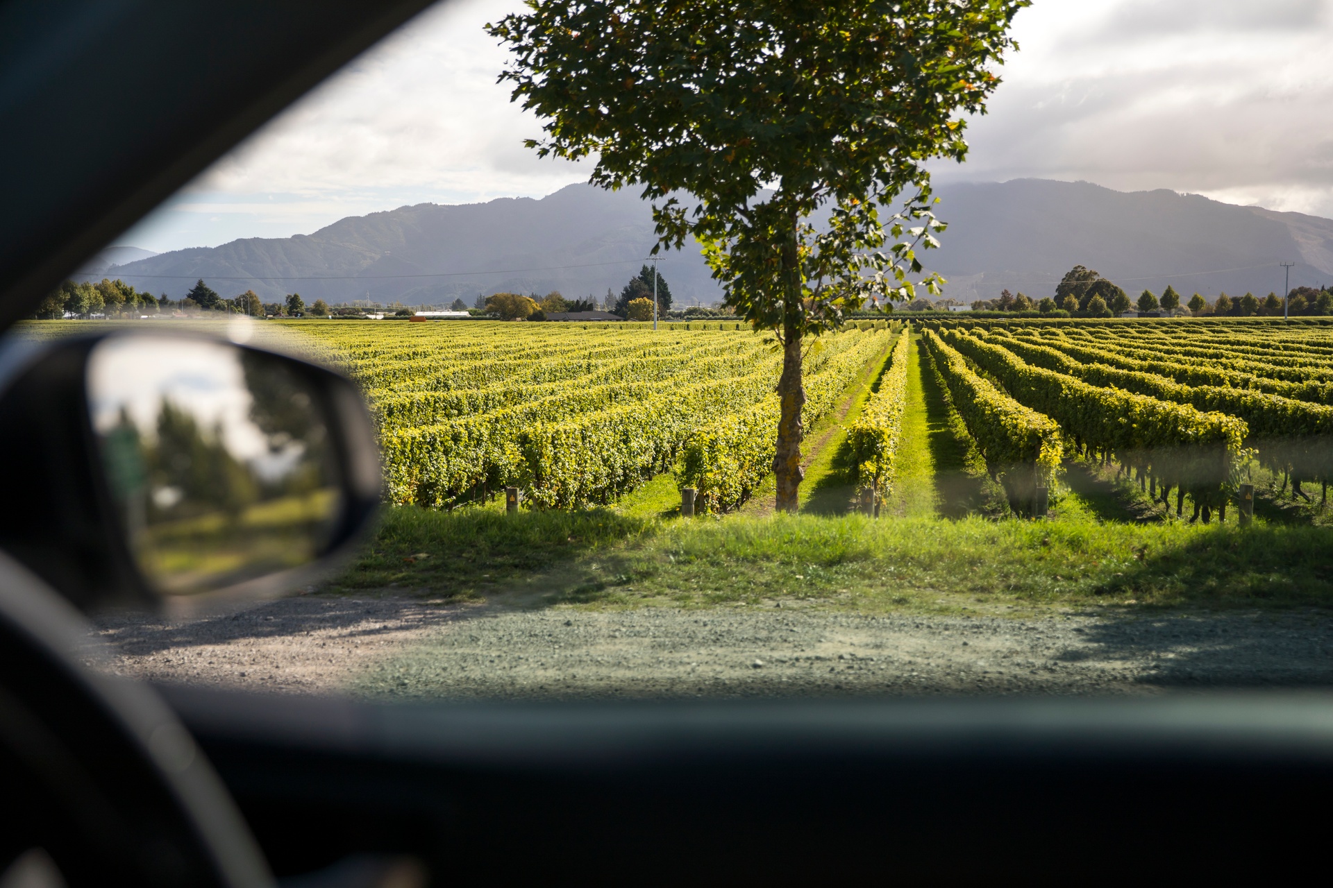 Blenheim Marlborough New Zealand