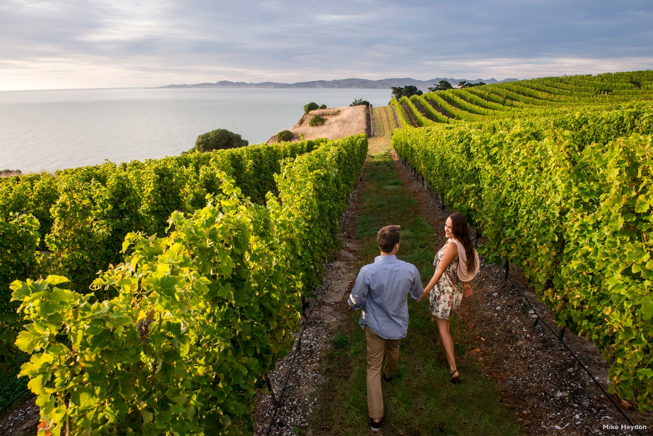 L577 Blenheim Marlborough Mike Heydon - Romantic Vacations and Trips for Couples NEW ZEALAND ROMANTIC VACATION PACKAGES