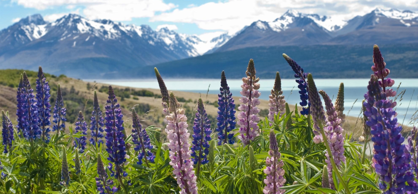 Mount Cook National Park Canterbury New Zealand