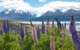 new-zealand-Mount Cook National Park Canterbury New Zealand
