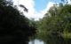 River in Andasibe Madagascar