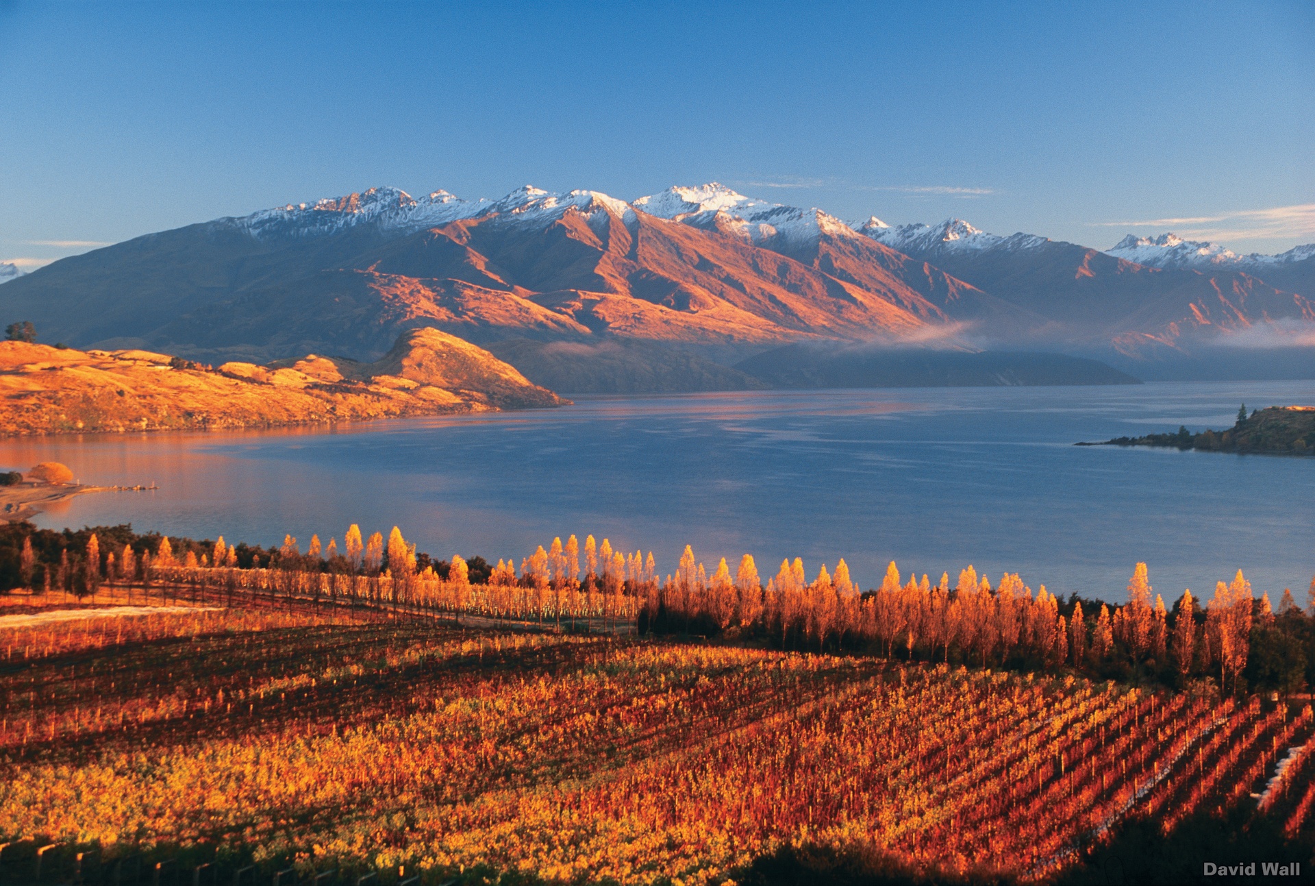 Wanaka Lake Rippon Vineyard New Zealand