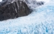 new-zealand-fox-glacier
