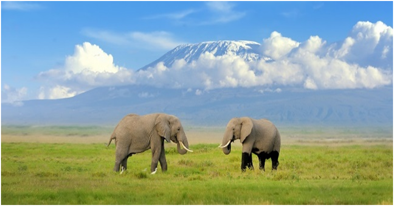 africa-kilimanjaro