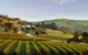 australia-barossa-valley-wine-region