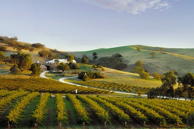 australia-barossa-valley-wine-region