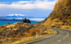 new-zealand-south-island-road