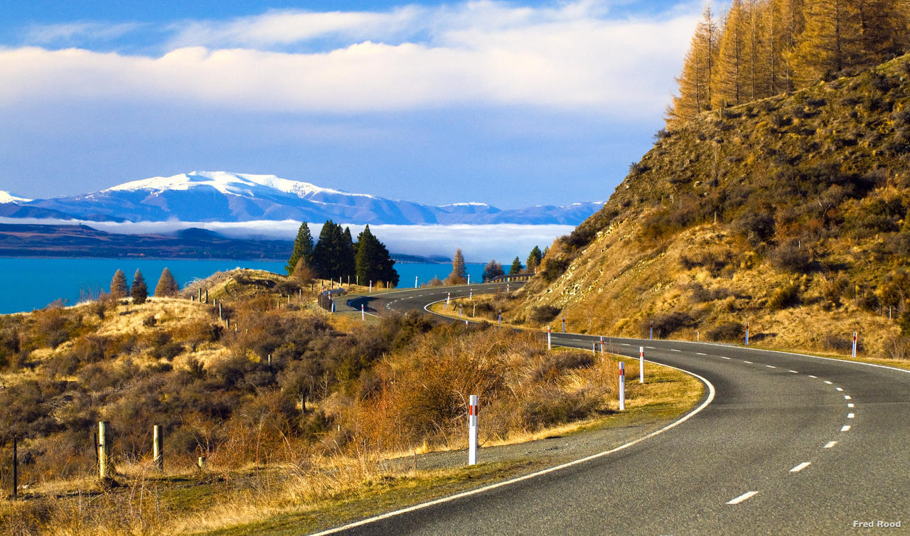 new-zealand-south-island-road