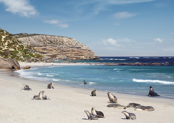 australia-south-kangaroo-island