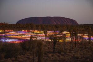 austalia-northern-territory-ayers-rock-uluru-field-of-light