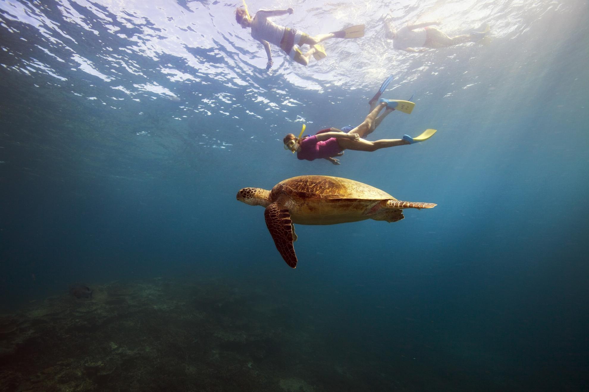 australia-queensland-great-barrier-reef