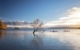 new-zealand-wanaka-lake