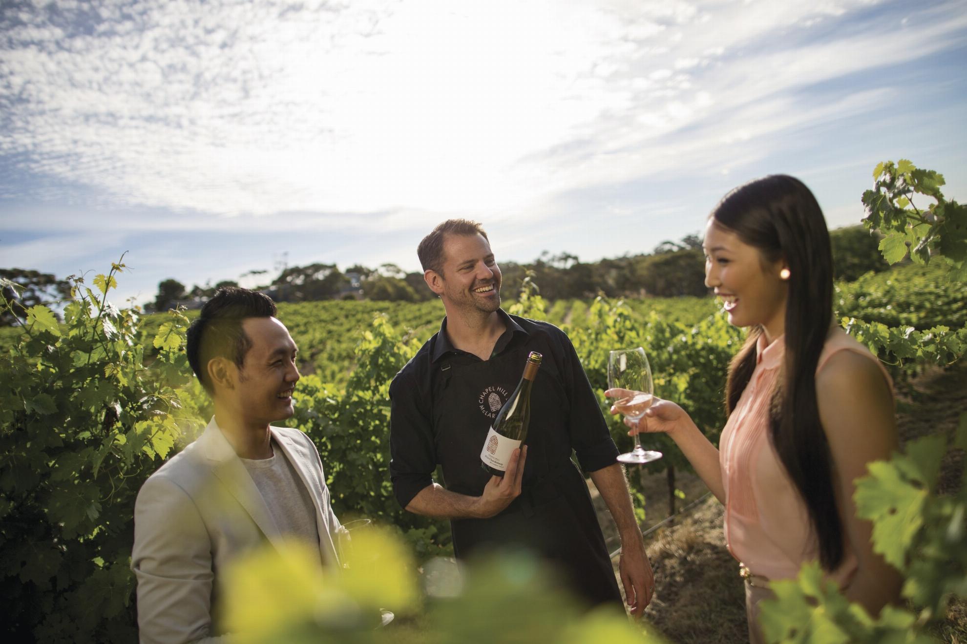 australia-mclaren-vale-chapel-hill