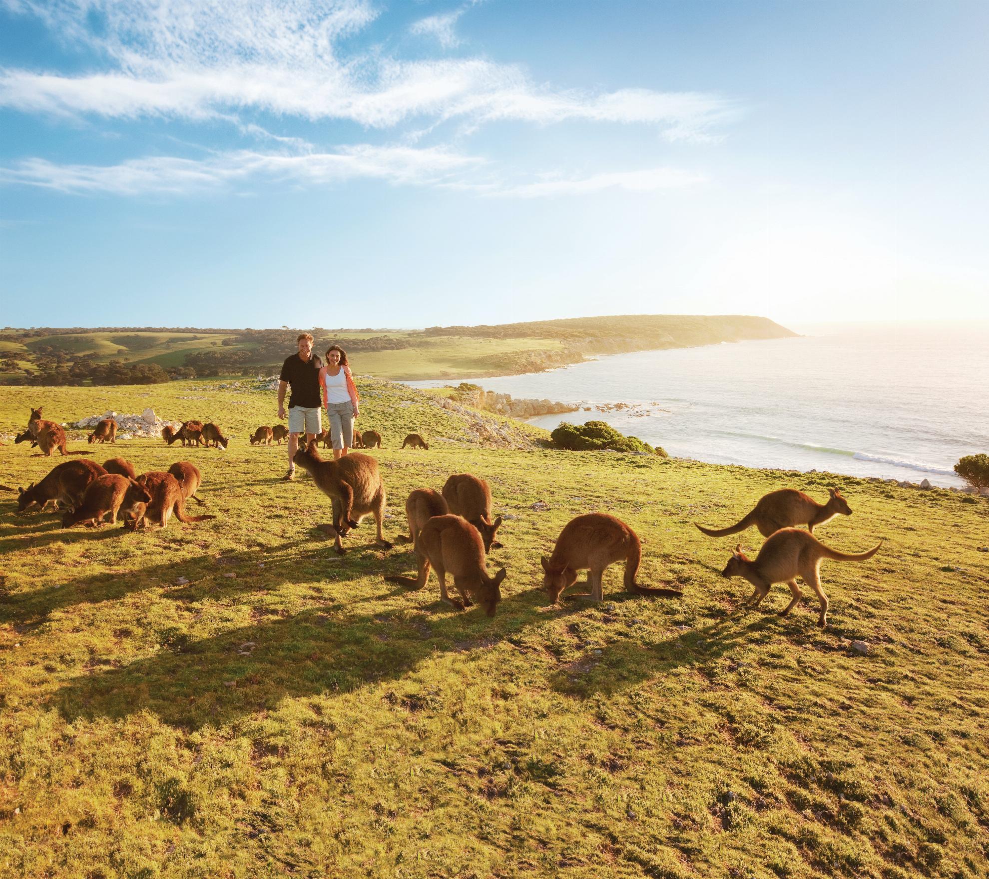 australia-south-kangaroo-island TA