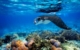 fiji-cruise-blue-lagoon-drawaqa-manta-ray
