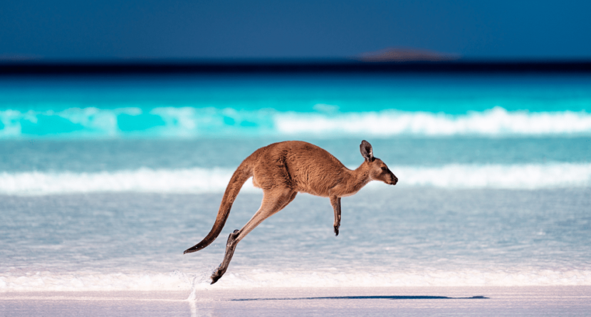 australia-vacation