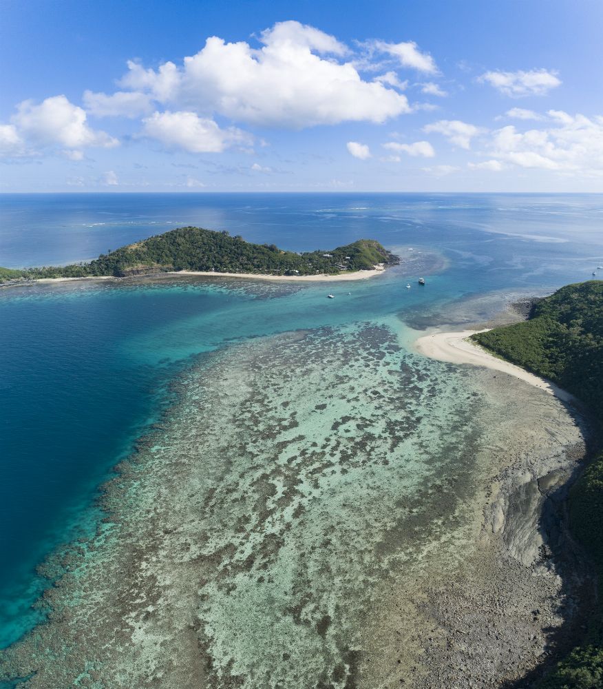 manta ray island fiji
