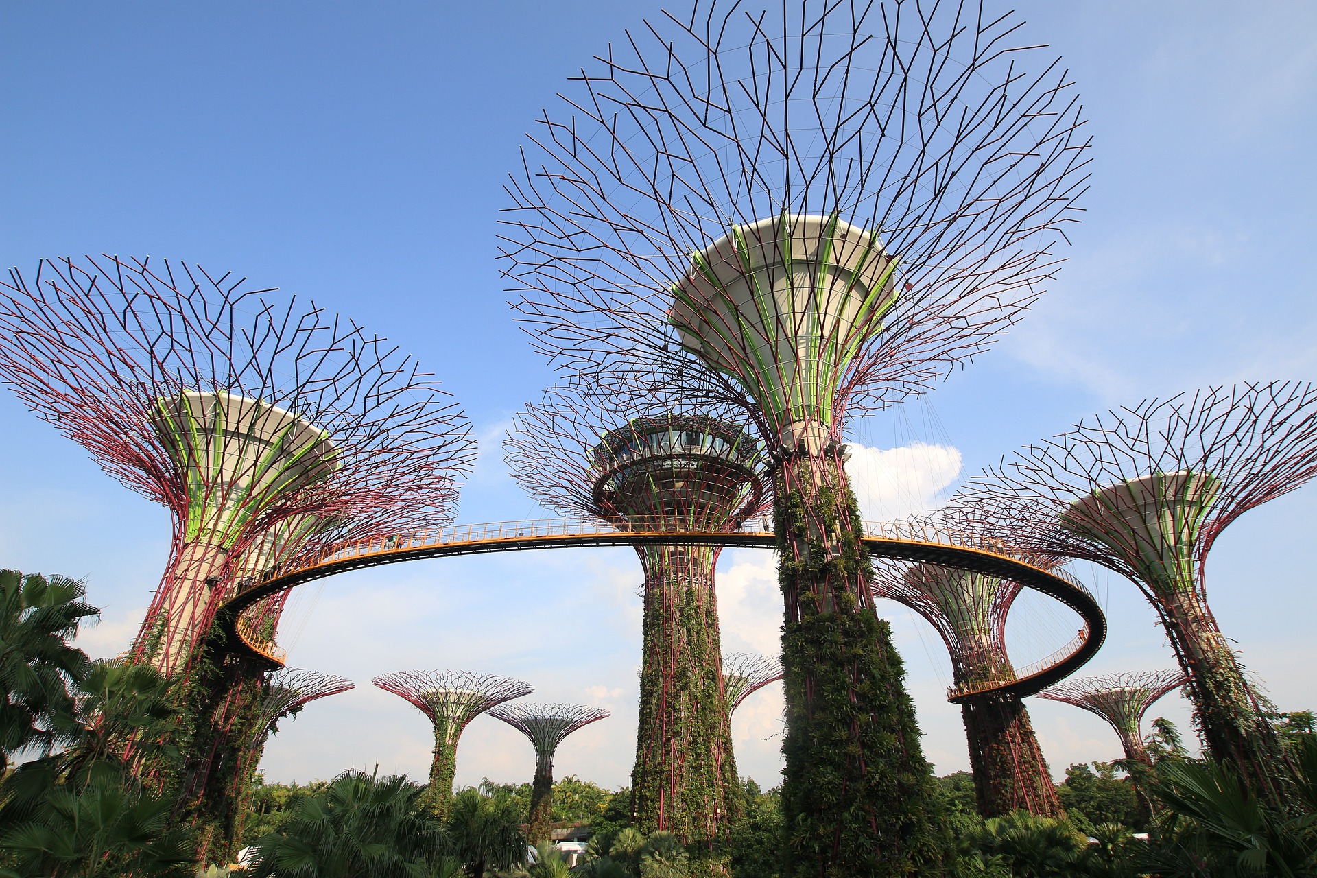 singapore-gardens-by-the-bay