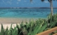 cook-islands-rarotonga-palm-grove-beachfront-studio 1