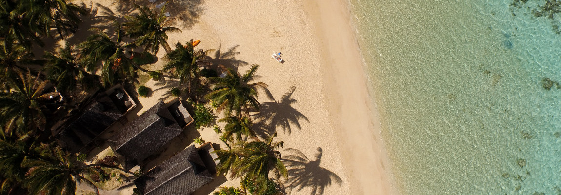 cook-islands-rarotonga-palm-grove-aerial