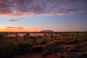 Field of Light, Uluru, Australia