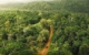 fiji-pacific-harbour-beqa-lagoon-adventure-terra-trek-101824-56