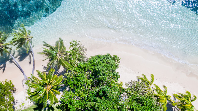 fiji-taveuni-matangi-private-island-resort-TF