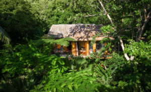 fiji-taveuni-matangi-island-resort-TF