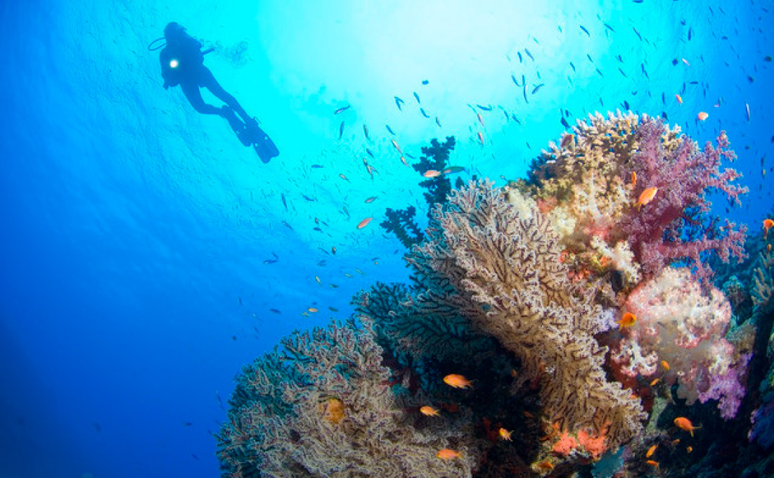 fiji-yasawa-island-resort-scuba-diving