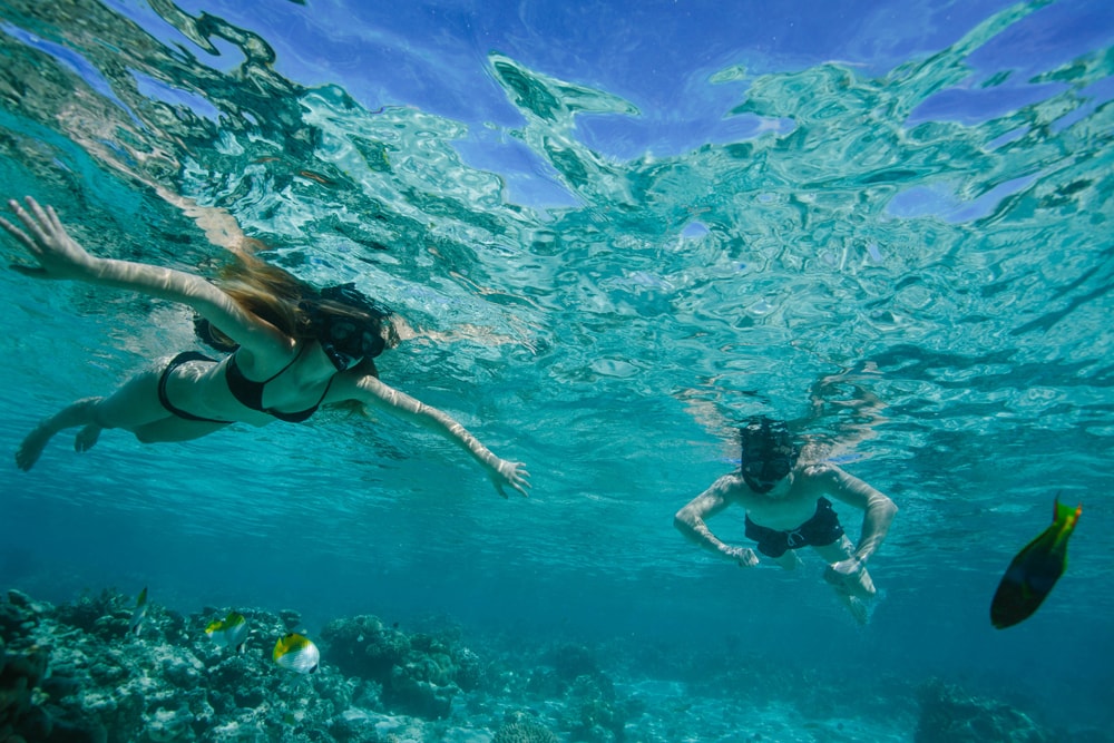 fiji-lomani-snorkelling