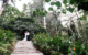 fiji-garden-sleeping-giant-TF