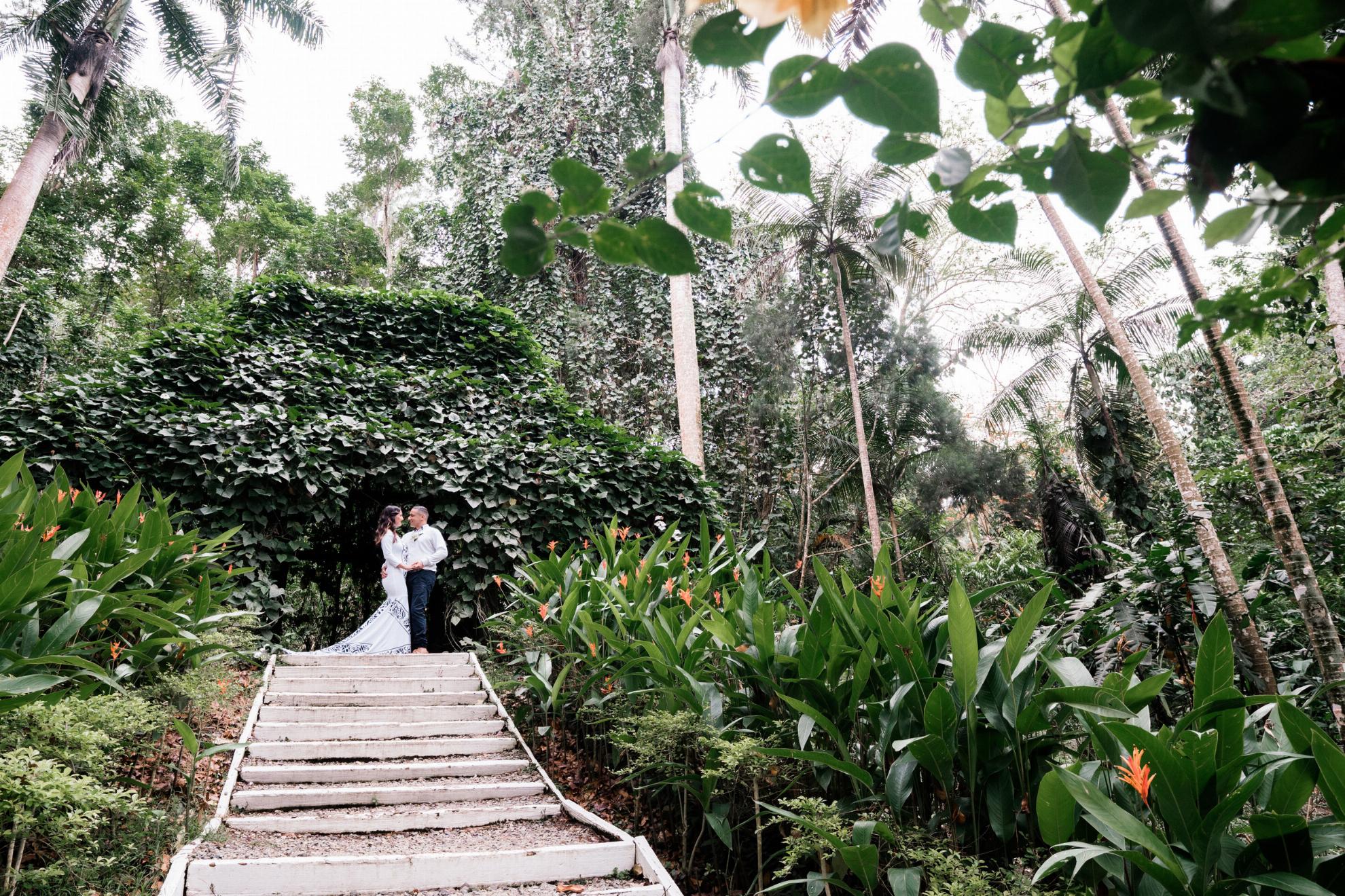 fiji-garden-sleeping-giant-TF