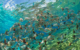 tahiti-rangiroa-tuamotu-le-maitai-marine-life