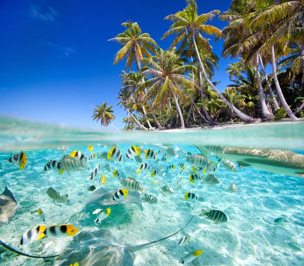 Tahiti Stopover