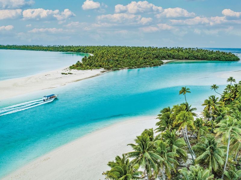 cook islands cruise paul gauguin aitutaki lagoon - Cruises Beach With Trees