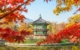 korea-seoul-Gyeongbokgung-palace 7366036_1280 PB RF