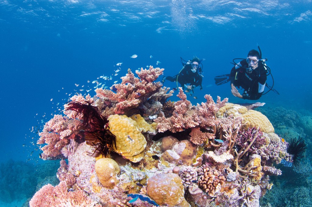 australia-qld-great-barrier-reef-ribbon-reef-challenger-bay