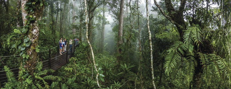 australia-qld-skyrail-rainforest-cableway
