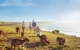 australia-south-sa-kangaroo-island