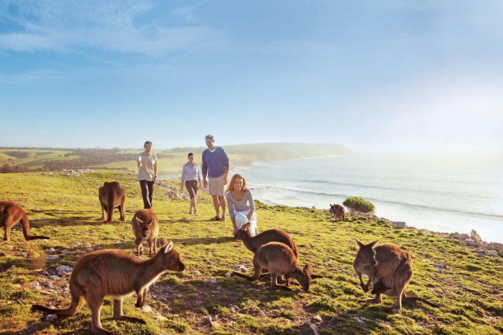 australia-south-sa-kangaroo-island
