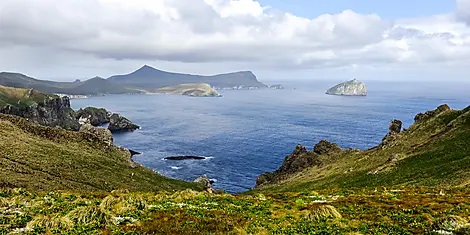 new-zealand-cruise-subantarctic-islands-ponant