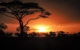 GAdv-africa-Tanzania Serengeti Sunset