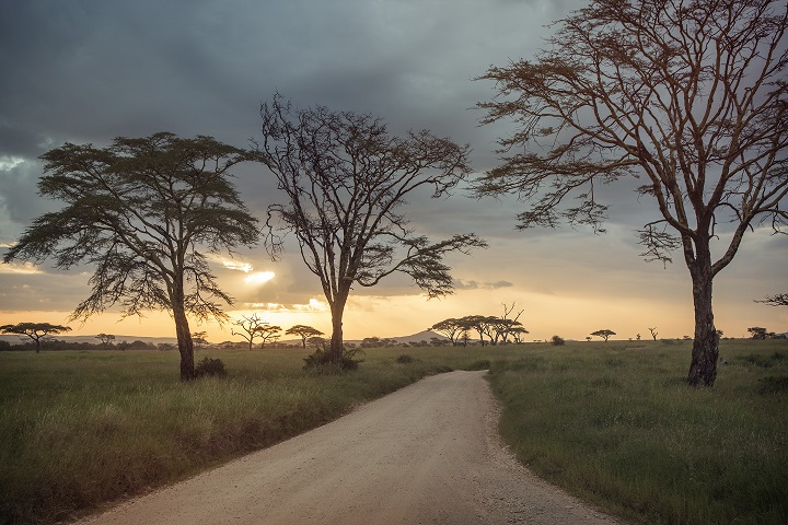 GAdv-africa-Tanzania Serengeti Sunset Landscape