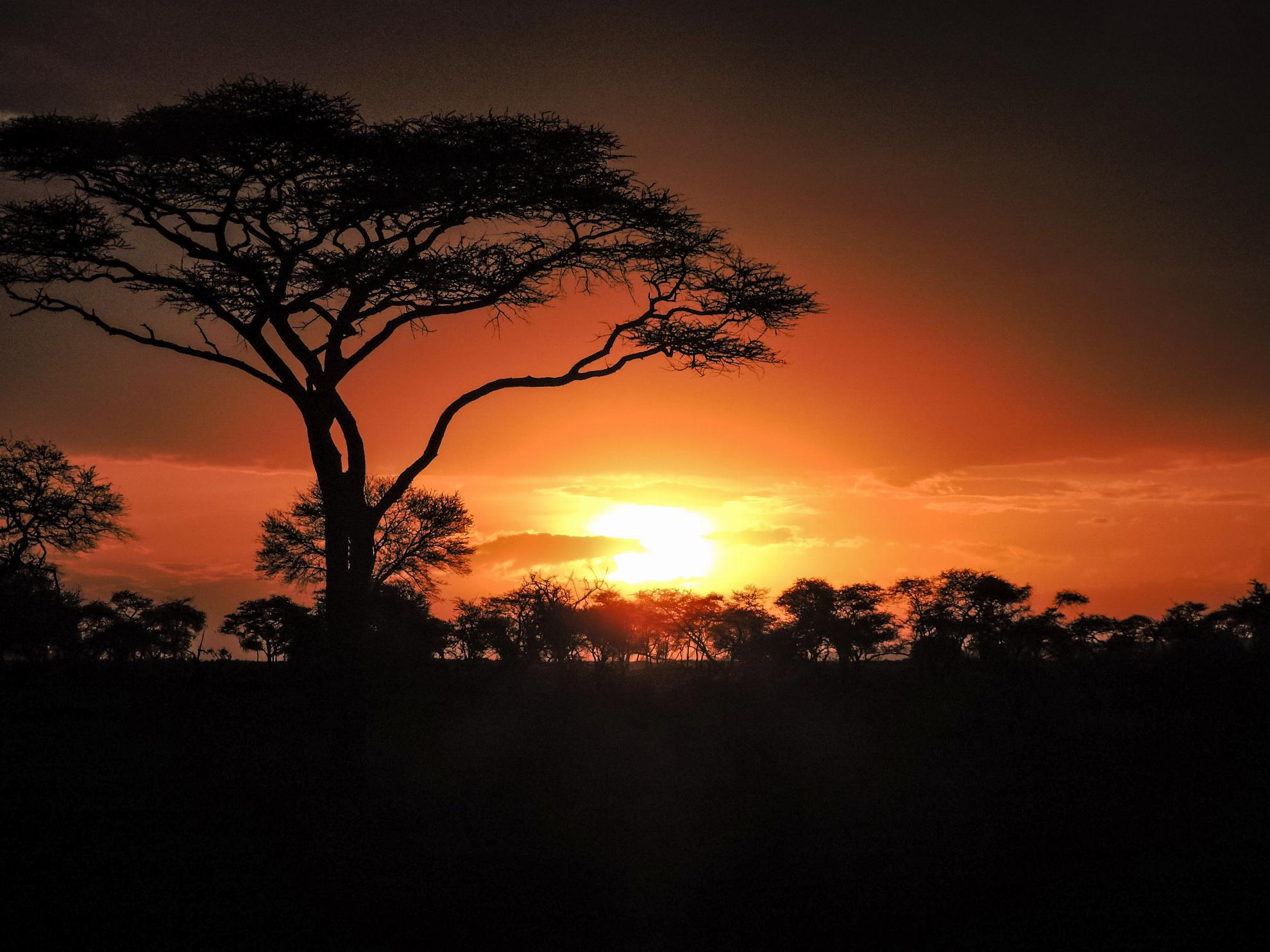 GAdv-africa-Tanzania Serengeti Sunset