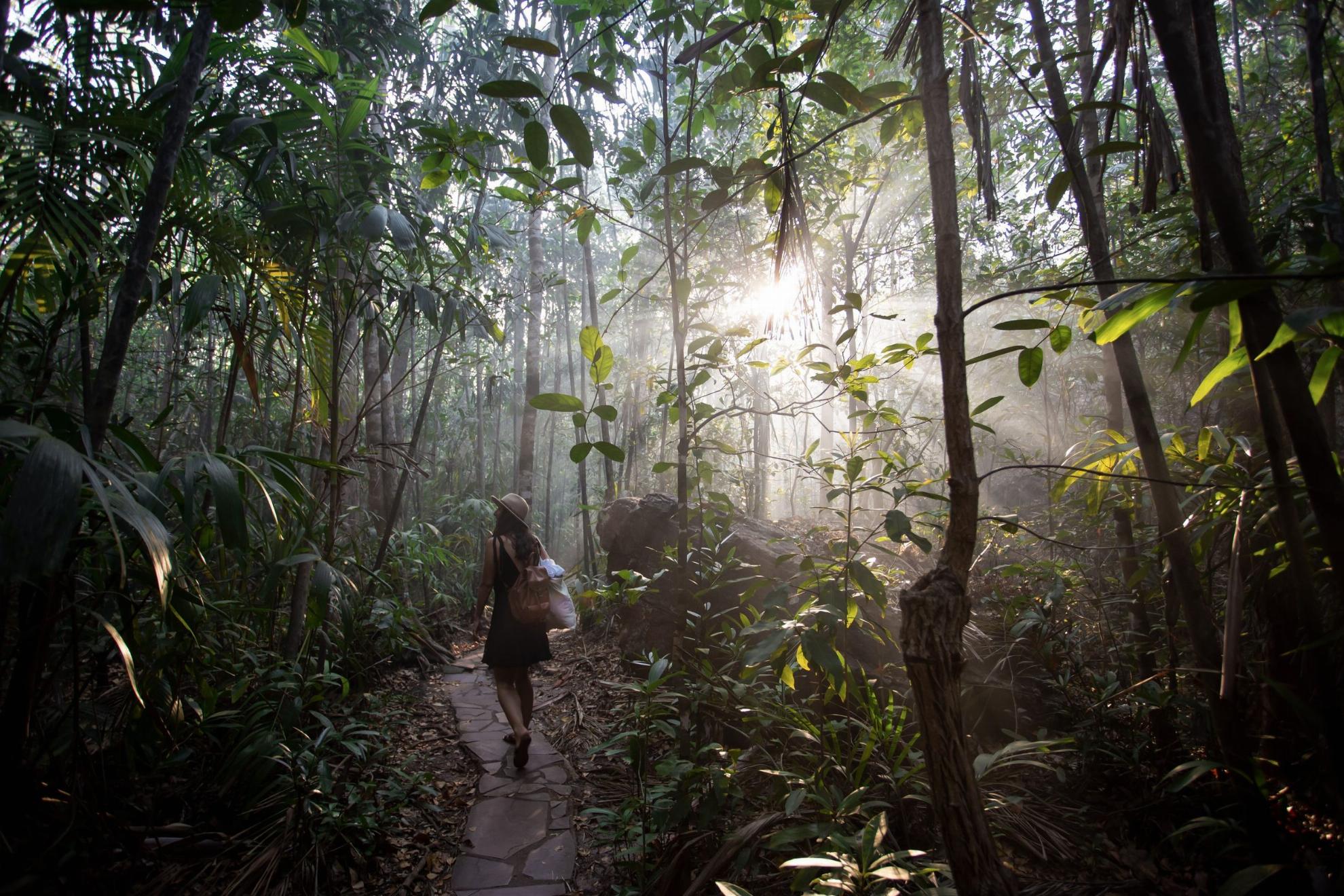 australia-nt-litchfield-florence-falls-1087618-41 TA